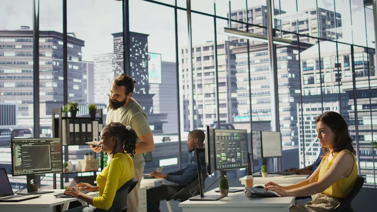 Técnico de software manteniendo bases de datos